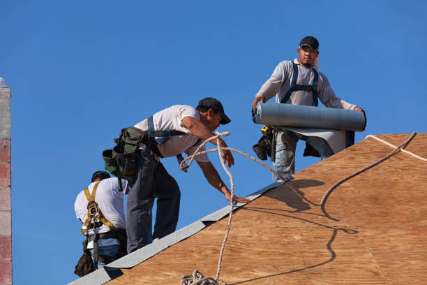 Best Roof Repair Services  in Montague, MI