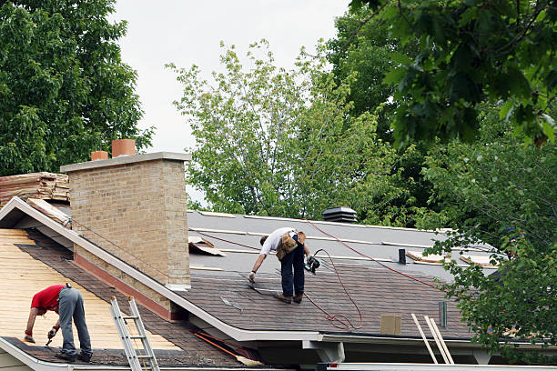 Best Storm Damage Roof Repair  in Montague, MI