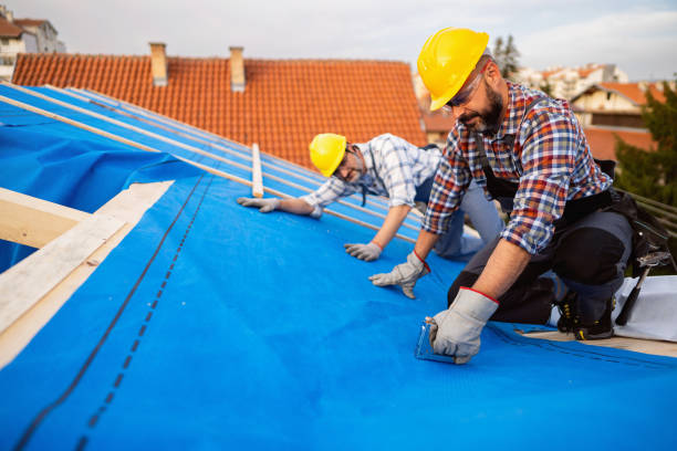 Best Flat Roof Repair Services  in Montague, MI
