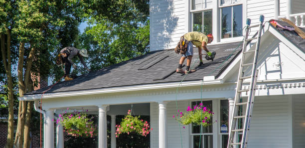 Best Roof Repair Services  in Montague, MI